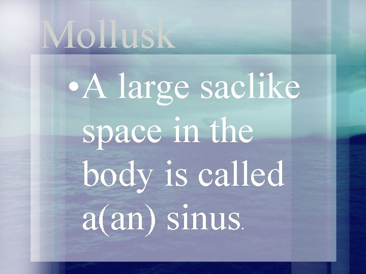 Mollusk • A large saclike space in the body is called a(an) sinus. 