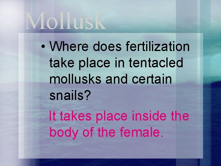 Mollusk • Where does fertilization take place in tentacled mollusks and certain snails? It