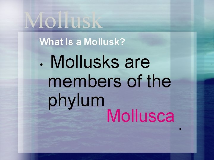 Mollusk What Is a Mollusk? • Mollusks are members of the phylum Mollusca. 