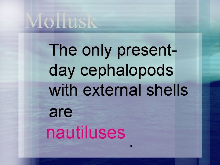 Mollusk The only presentday cephalopods with external shells are nautiluses. 