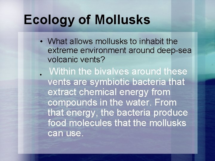 Ecology of Mollusks • What allows mollusks to inhabit the extreme environment around deep-sea