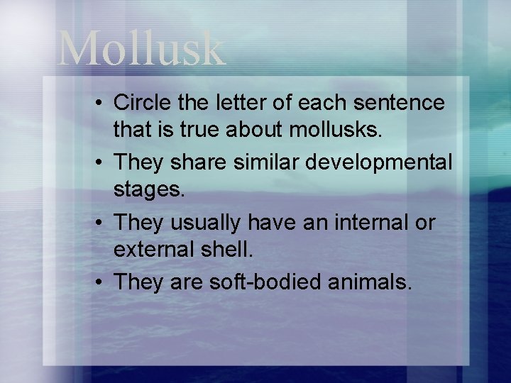 Mollusk • Circle the letter of each sentence that is true about mollusks. •