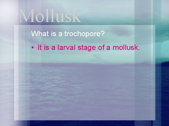 Mollusk What is a trochopore? • It is a larval stage of a mollusk.