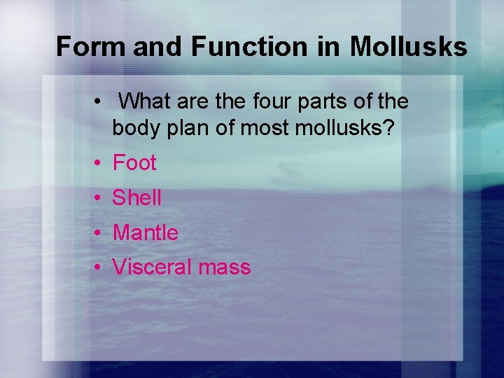 Form and Function in Mollusks • What are the four parts of the body