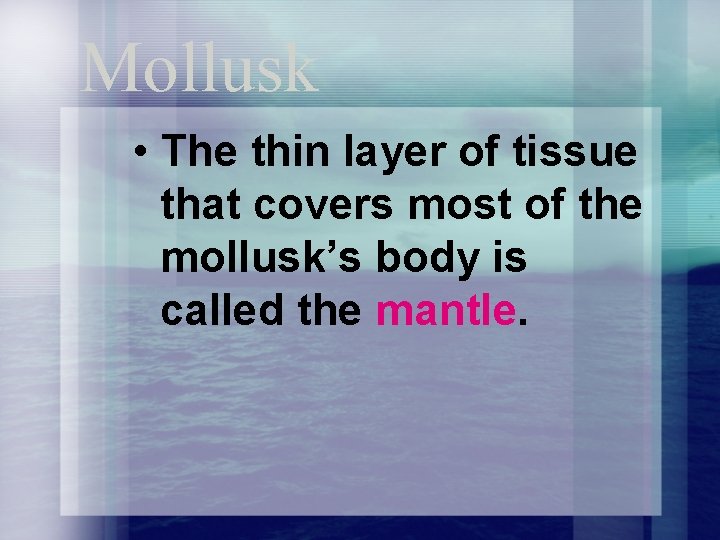 Mollusk • The thin layer of tissue that covers most of the mollusk’s body