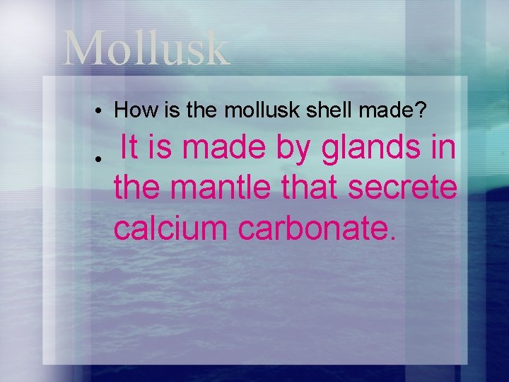 Mollusk • How is the mollusk shell made? • It is made by glands