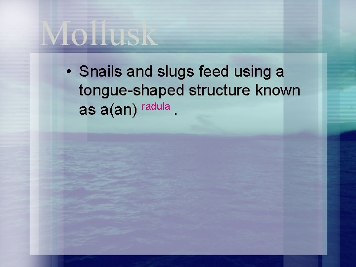 Mollusk • Snails and slugs feed using a tongue-shaped structure known as a(an) radula.