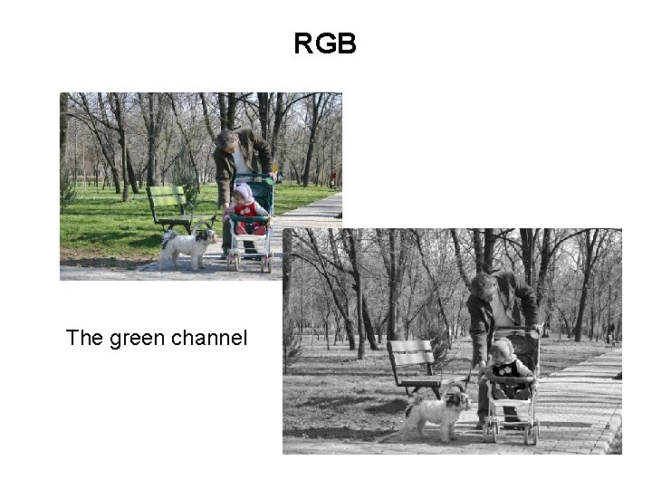 RGB The green channel RGB The green channel