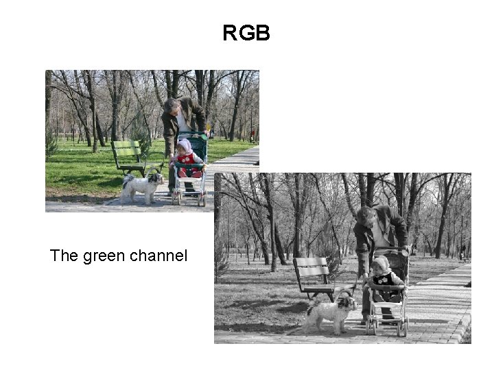 RGB The green channel 