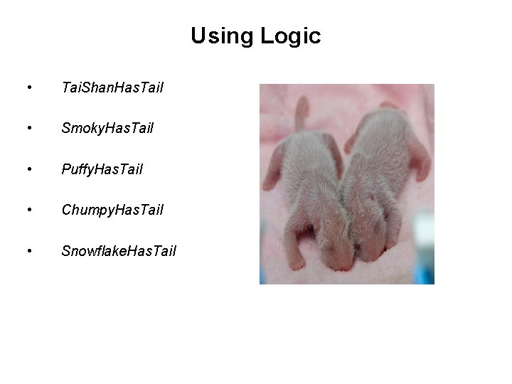 Using Logic • Tai. Shan. Has. Tail • Smoky. Has. Tail • Puffy. Has. Using Logic • Tai. Shan. Has. Tail • Smoky. Has. Tail • Puffy. Has.