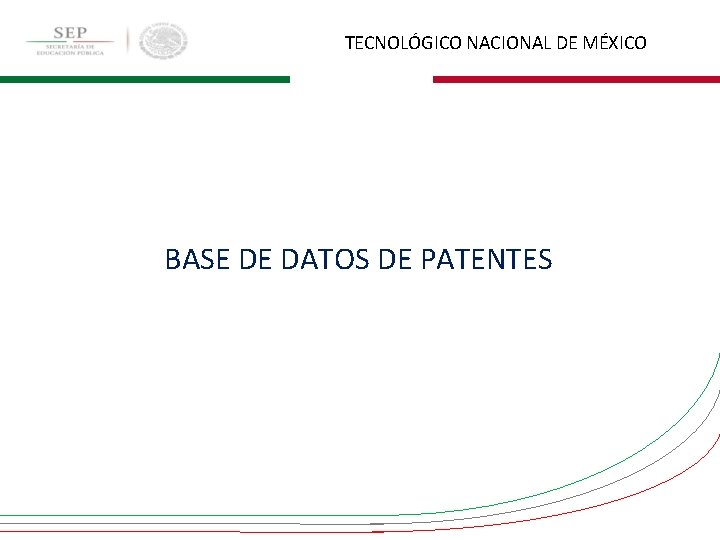 TECNOLÓGICO NACIONAL DE MÉXICO BASE DE DATOS DE PATENTES 