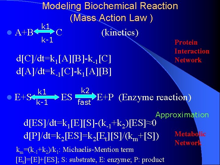 Modeling Biochemical Reaction (Mass Action Law ) k 1 l A+B C (kinetics) k-1