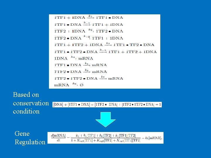 Based on conservation condition Gene Regulation 
