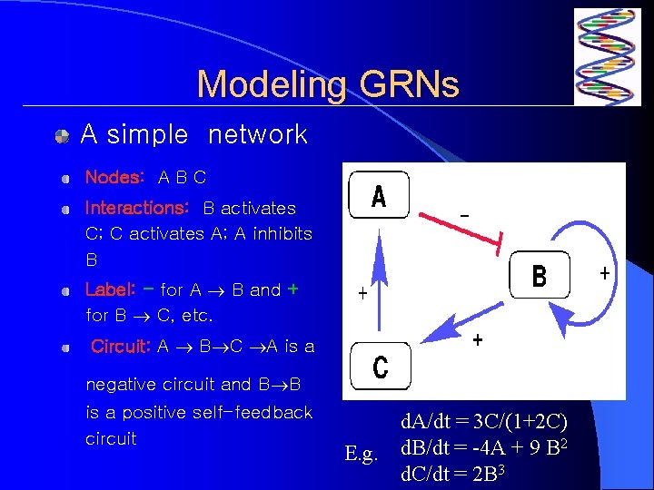 Modeling GRNs A simple network Nodes: A B C Interactions: B activates C; C