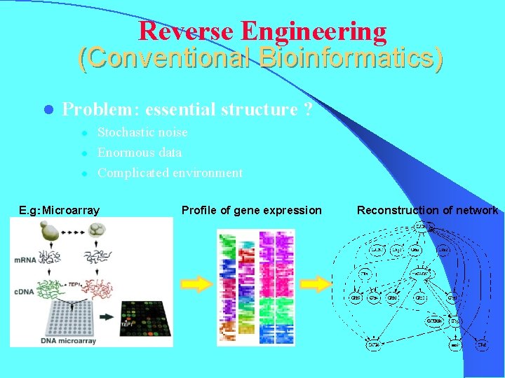 Reverse Engineering (Conventional Bioinformatics) l Problem: essential structure ? l l l Stochastic noise