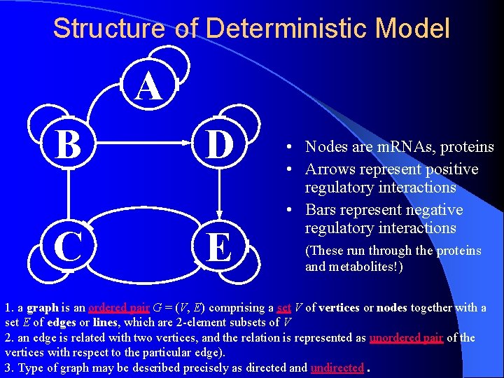 Structure of Deterministic Model A B D C E • Nodes are m. RNAs,
