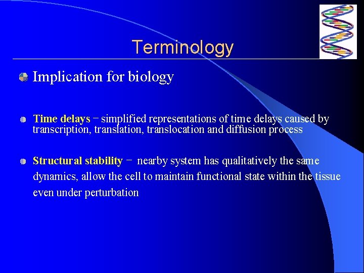 Terminology Implication for biology Time delays – simplified representations of time delays caused by