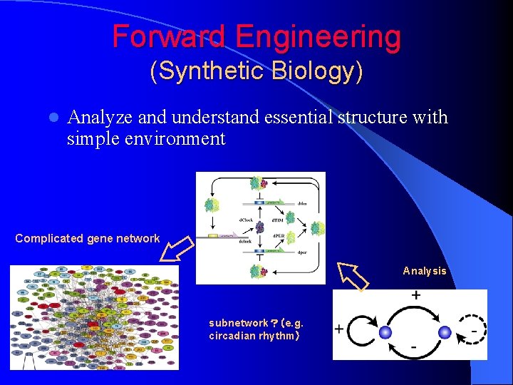 Forward Engineering (Synthetic Biology) l Analyze and understand essential structure with simple environment Complicated