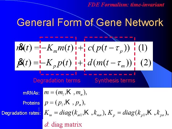 FDE Formalism: time-invariant General Form of Gene Network Degradation terms m. RNAs: Proteins :