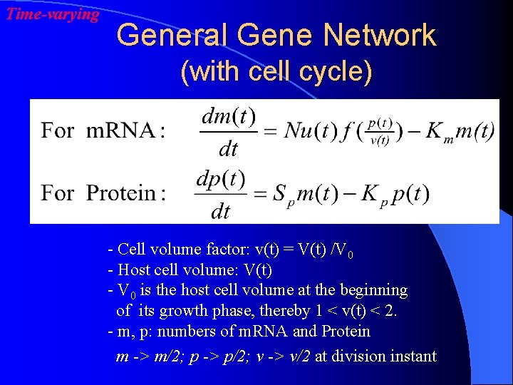 Time-varying General Gene Network (with cell cycle) - Cell volume factor: v(t) = V(t)