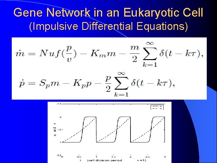 Gene Network in an Eukaryotic Cell (Impulsive Differential Equations) 