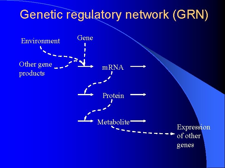 Genetic regulatory network (GRN) Environment Other gene products Gene m. RNA Protein Metabolite Expression