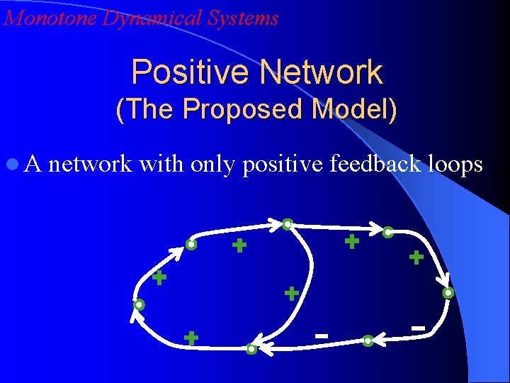 Monotone Dynamical Systems Positive Network (The Proposed Model) l A network with only positive