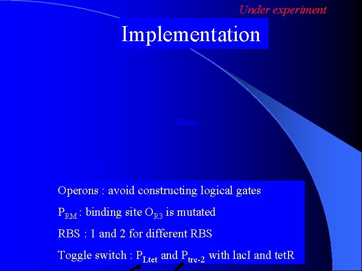 Under experiment Implementation Tetramer Dimer Operons : avoid constructing logical gates PRM : binding