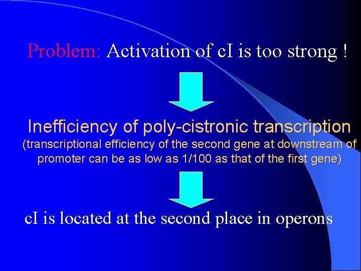 Problem: Activation of c. I is too strong ! Inefficiency of poly-cistronic transcription (transcriptional