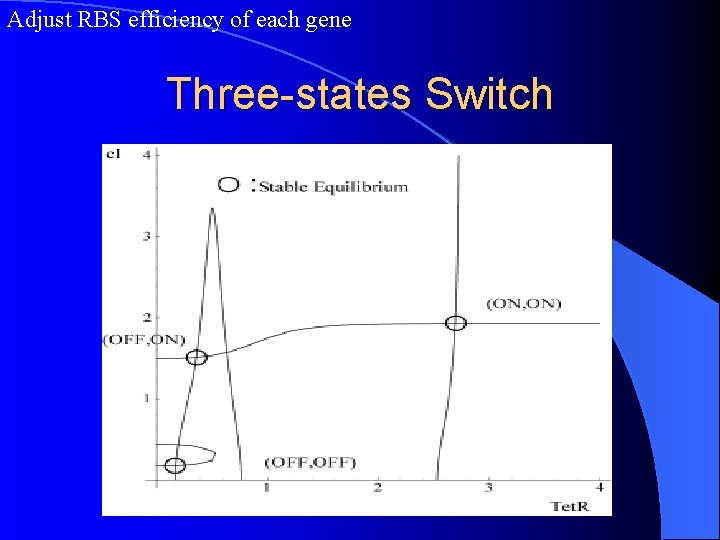 Adjust RBS efficiency of each gene Three-states Switch 