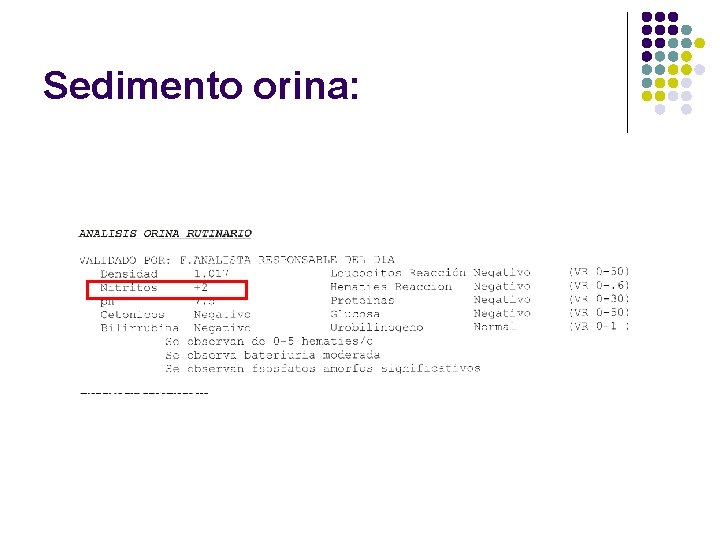 Sedimento orina: 