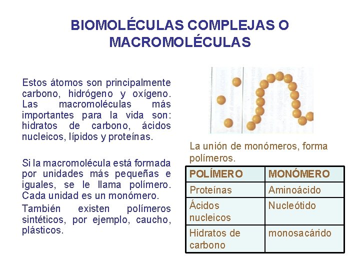 BIOMOLÉCULAS COMPLEJAS O MACROMOLÉCULAS Estos átomos son principalmente carbono, hidrógeno y oxígeno. Las macromoléculas