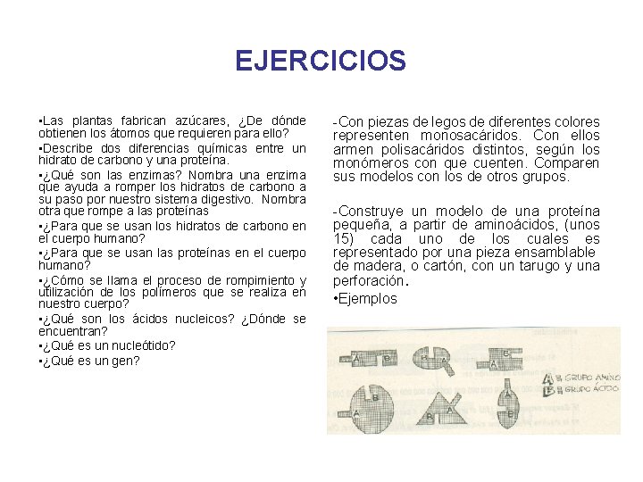 EJERCICIOS • Las plantas fabrican azúcares, ¿De dónde obtienen los átomos que requieren para