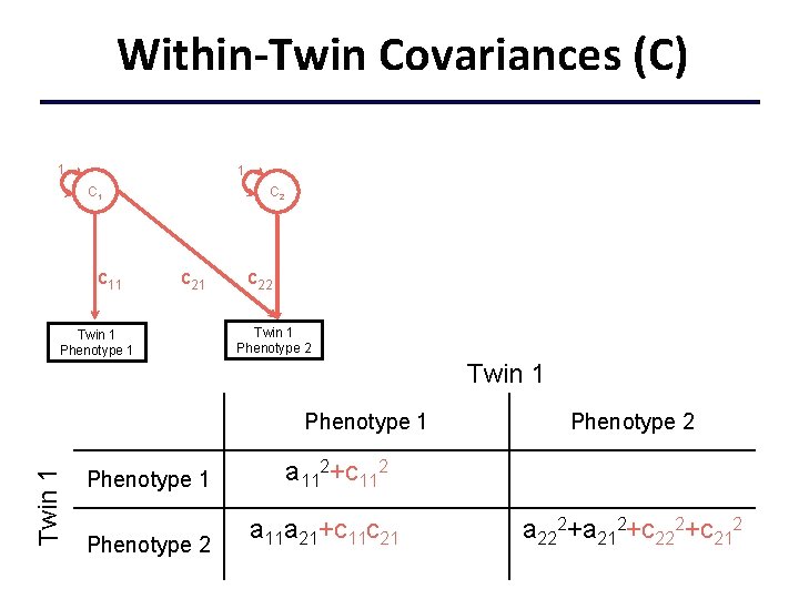 Within-Twin Covariances (C) 1 1 C 1 c 11 C 2 c 21 Twin