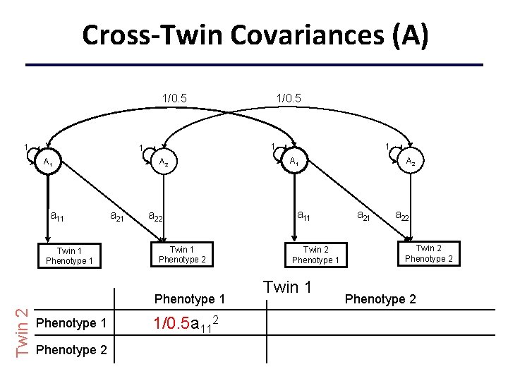 Cross-Twin Covariances (A) 1/0. 5 1 1 1 A 1 a 11 Twin 1