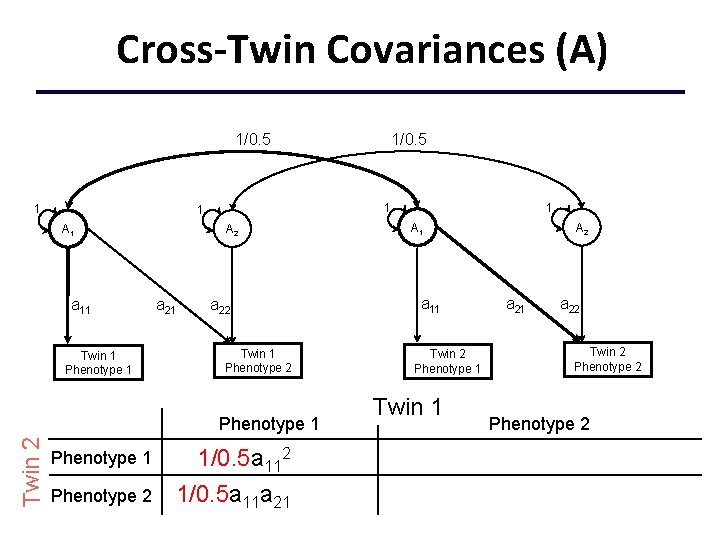 Cross-Twin Covariances (A) 1/0. 5 1 1 1 A 1 a 11 Twin 1