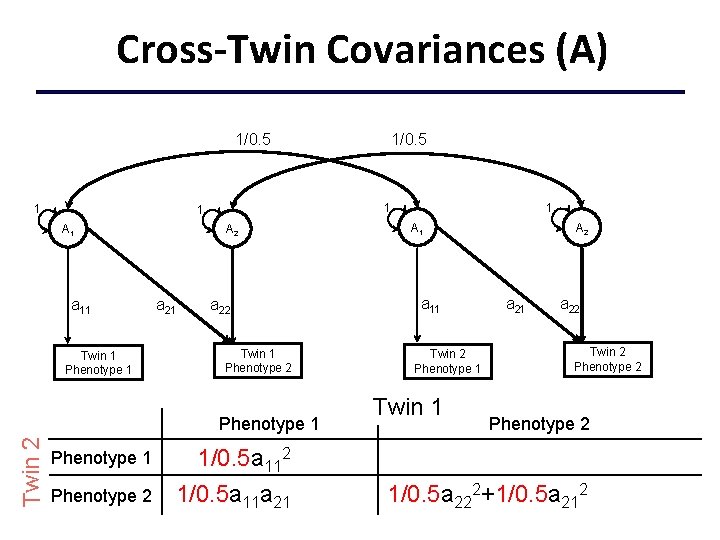 Cross-Twin Covariances (A) 1/0. 5 1 1 1 A 1 a 11 Twin 1