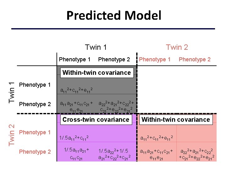 Predicted Model Twin 1 Phenotype 2 Twin 2 Phenotype 1 Phenotype 2 Twin 1