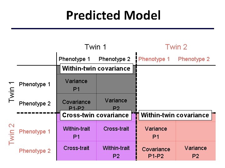 Predicted Model Twin 1 Phenotype 2 Twin 2 Phenotype 1 Phenotype 2 Twin 1