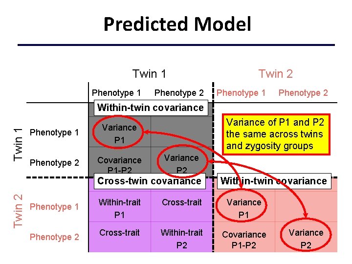 Predicted Model Twin 1 Phenotype 2 Twin 2 Phenotype 1 Phenotype 2 Twin 1