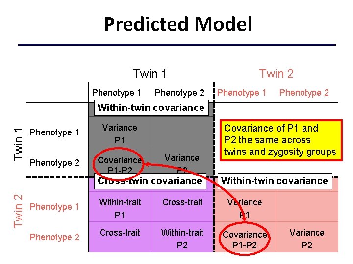 Predicted Model Twin 1 Phenotype 2 Twin 2 Phenotype 1 Phenotype 2 Twin 1