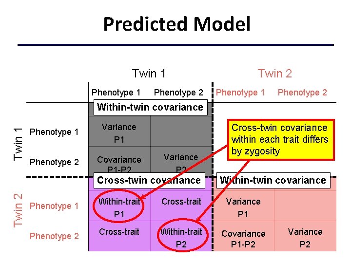 Predicted Model Twin 1 Phenotype 2 Twin 2 Phenotype 1 Phenotype 2 Twin 1