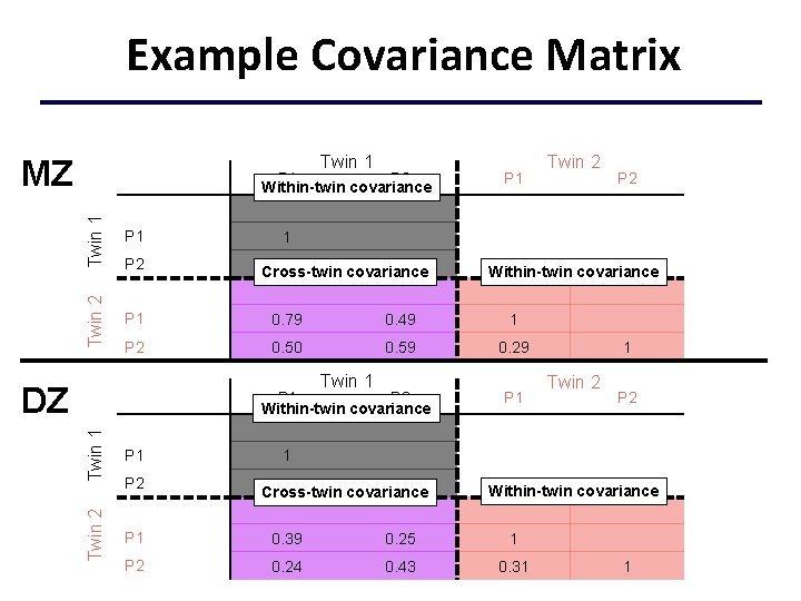 Example Covariance Matrix Twin 1 MZ Twin 1 P 1 Twin 2 P 1