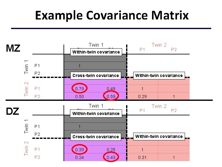 Example Covariance Matrix Twin 1 MZ Twin 1 P 1 Twin 2 P 1