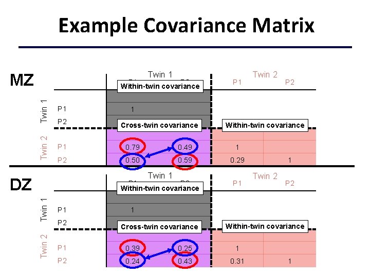 Example Covariance Matrix Twin 1 MZ Twin 1 P 1 Twin 2 P 1