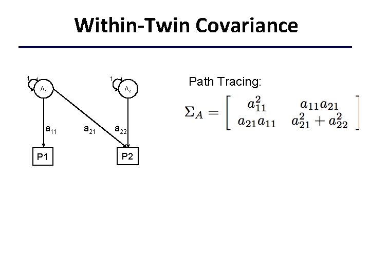 Within-Twin Covariance 1 1 A 1 a 11 P 1 A 2 a 21