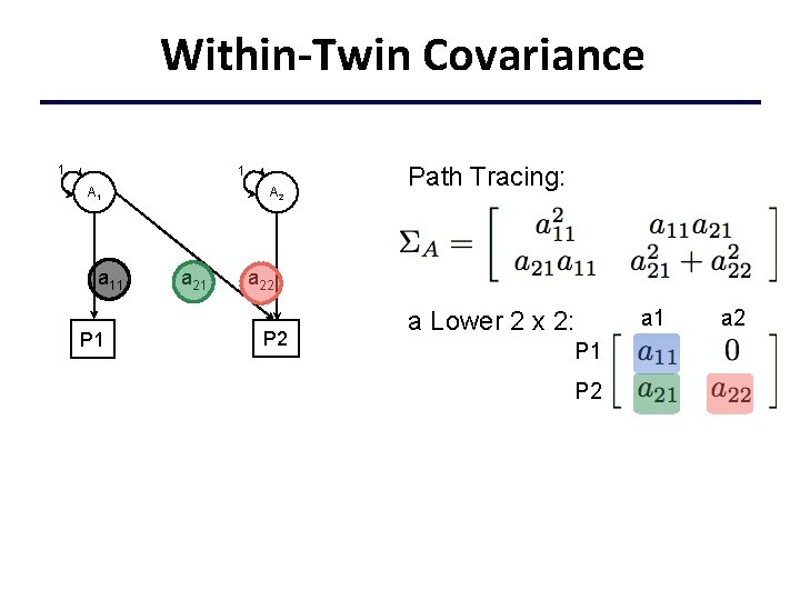Within-Twin Covariance 1 1 A 1 a 11 P 1 A 2 a 21