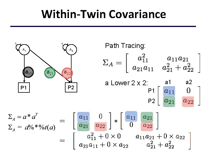Within-Twin Covariance 1 1 A 1 a 11 P 1 A 2 a 21