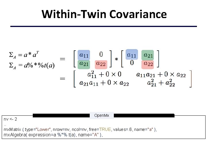 Within-Twin Covariance Open. Mx nv <- 2. . mx. Matrix ( type="Lower", nrow=nv, ncol=nv,