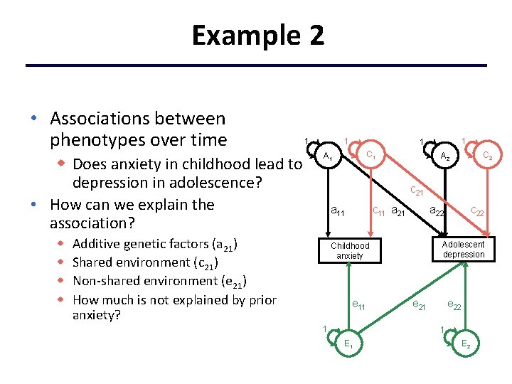 Example 2 • Associations between phenotypes over time w Does anxiety in childhood lead
